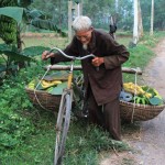 Ông lão bán chuối