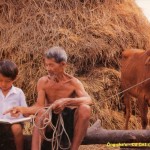 Ông già và đứa trẻ - Ông cháu