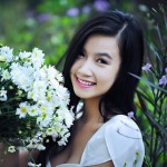 Cúc họa mi - Em tiếc gì mùa hoa cũ?