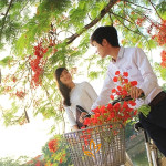 Về đi các bạn tôi ơi!...