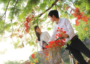 Về đi các bạn tôi ơi!...