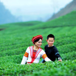 Viên sỏi trên đồi