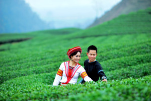 Viên sỏi trên đồi