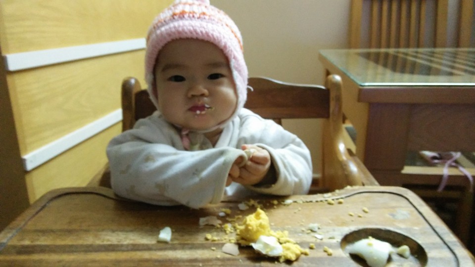 Ỉn quan nhà tôi