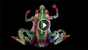 Body Paint Animal Art