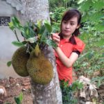 Nỗi nhớ đưa tôi về bên em - Ảnh Bà Tưng bên gốc mít