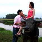 Nhà nàng có một con trâu
