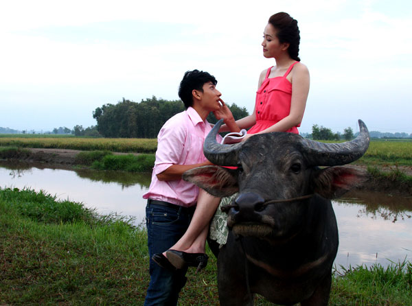 Nhà nàng có một con trâu