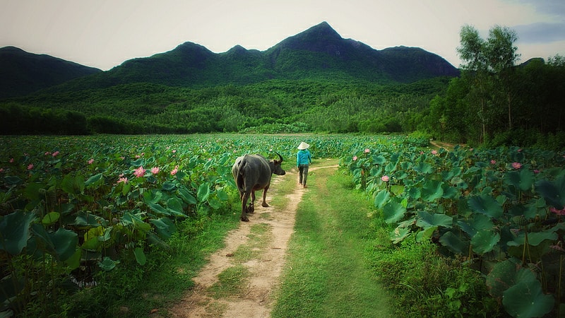 Sợ